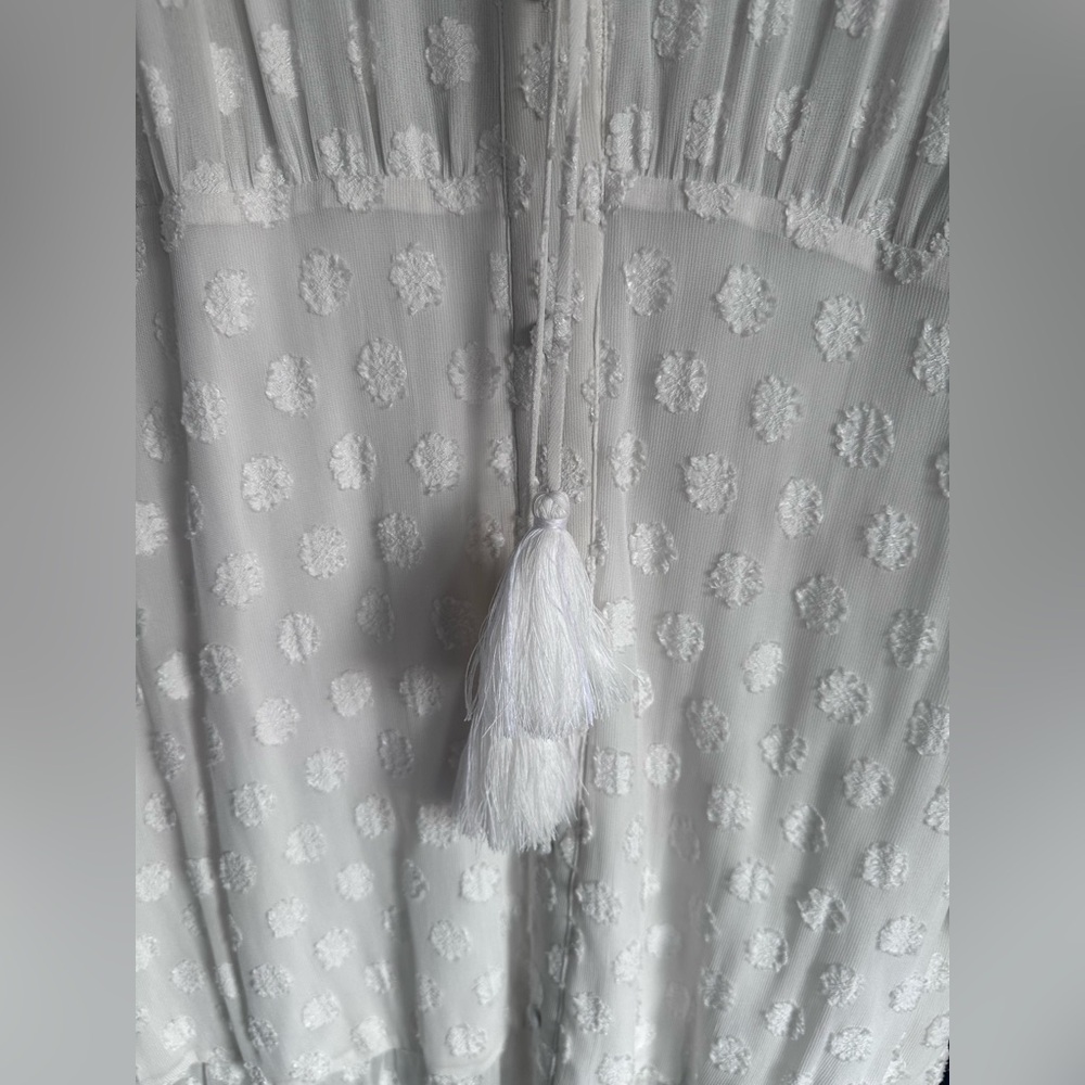 NWT Karina Grimaldi Sami Maxi Dress in Sheer dotted White - MED - Picture 4 of 7
